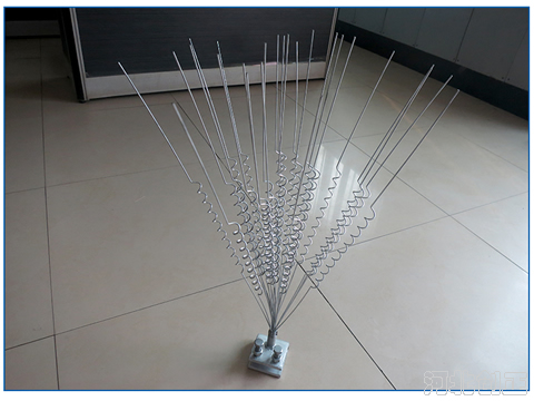 �(q��)�B(ni��o)�̷��B(ni��o)��